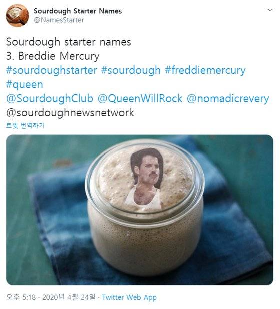 사람들은 코로나 격리 기간동안 시간이 오래 걸리는 빵 재료인 사워도우를 만들기 시작했다. 도우에는 빵 터지는 이름도 붙여줬다. 퀸의 보컬인 프레디 머큐리를 패러디한 브레디 머큐리. [트위터]