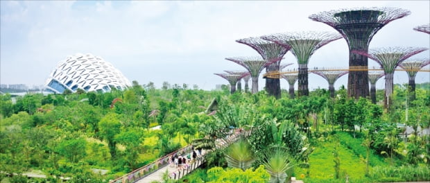싱가포르 마리나베이에 있는 초대형 식물원 가든바이더베이. 싱가포르관광청 제공