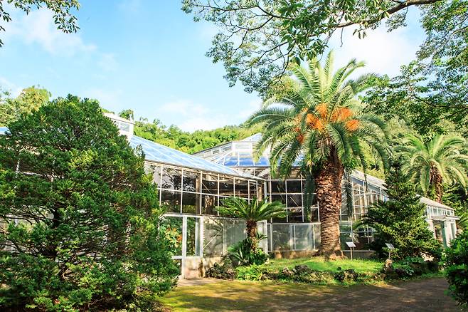 유리 온실과 이국적인 정취의 야자수 나무