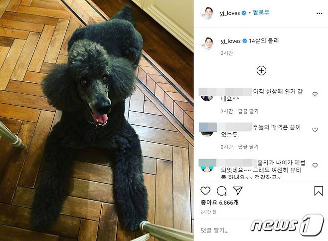 정용진 부회장, 몰리 근황 공개..몰리스펫샵도 덩달아 주목