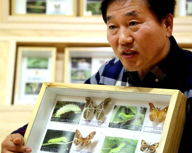 이강운 홀로세생태보존연구소장이 각종 나방 애벌레에 관해 설명하고 있다.