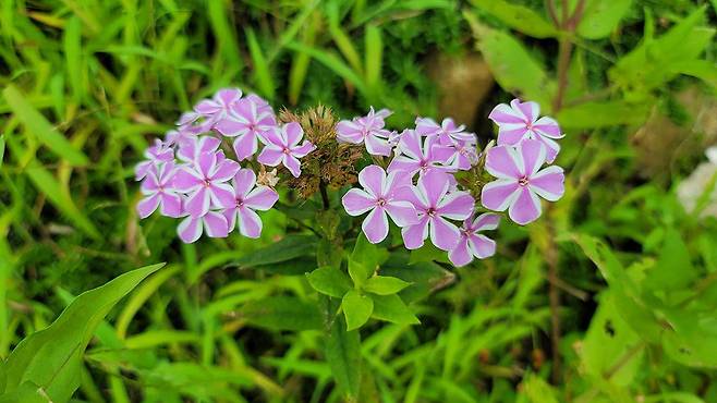 1,200만 화소 센서지만, 화질 자체는 아쉬움이 없다.
