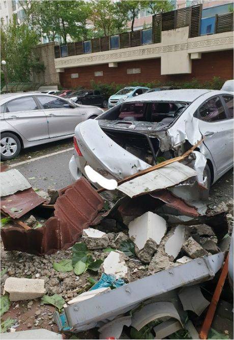 (사진=독자 제공)