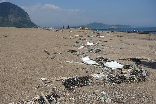 녹색연합은 8월16~17일 제주 해변 3곳의 미세플라스틱 현황을 조사했다. 제주 사계해변에 스티로폼이 널려 있다. 녹색연합 제공