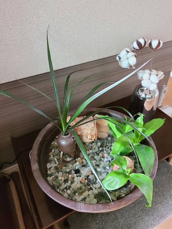 금방 죽을 줄 알았는데 잘 살아내주고 있다.