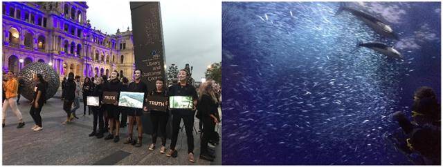 호주 브리즈번에서 동물단체 회원들이 비윤리적 동물 사육을 반대하는 시위를 벌이고 있다.(왼쪽) 미국 뉴욕에 있는 내셔널지오그래픽의 디지털수족관 내부 모습. 이동학 작가