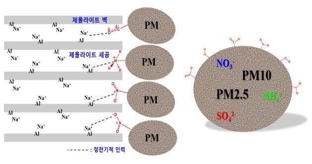 제올라이트의 초미세 구멍에 미세먼지가 제거되는 개념도 [정성화 교수 제공. 재판매 및 DB 금지]
