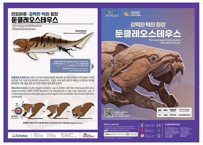 둔클레오스테우스 교육키트 [한국지질자원연구원 제공. 재판매 및 DB 금지]
