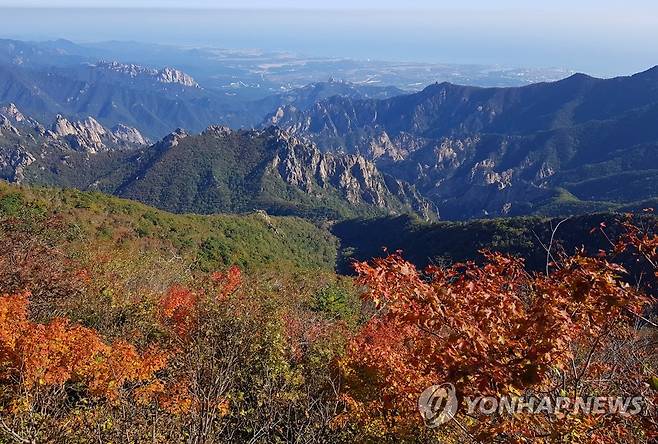 단풍 옷 갈아입기 시작한 설악산 [설악산국립공원사무소 제공·연합뉴스 자료사진]