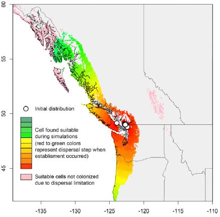 동아시아 원산인 장수말벌이 지난해 가을 북미 캐나다 밴쿠버섬에서 처음 발견됐고 올봄 인근 지역에서 추가로 발견됐다(흰색 동그라미). 최근 미국 워싱턴대 연구팀의 시뮬레이션 결과에 따르면 사람의 퇴치 노력이 없을 경우 20년 이내에 미국 워싱턴주와 오리건주, 캐나다 브리티시컬럼비아주 깊숙이까지 퍼질 것으로 예측됐다. 미국립과학원회보 제공