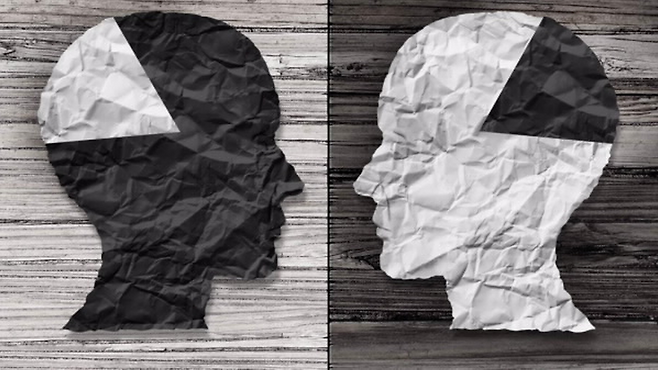 전홍진 교수는 한국인의 '매우 예민함'과 '우울증'에 대한 연구를 진행했다.