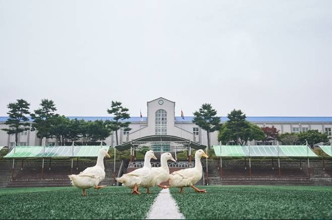 ▲사진=넷플릭스 제공