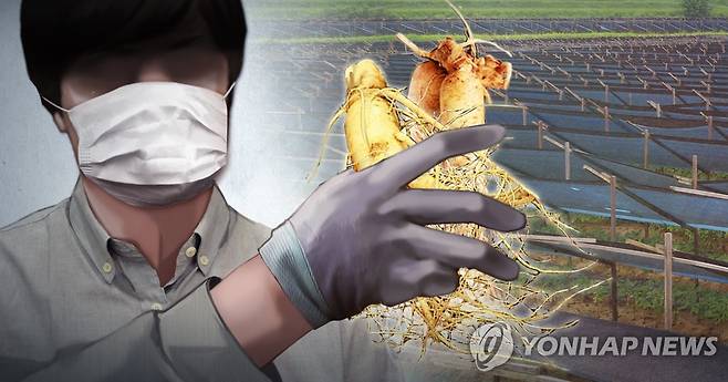 인삼 절도(PG) [정연주 제작] 일러스트