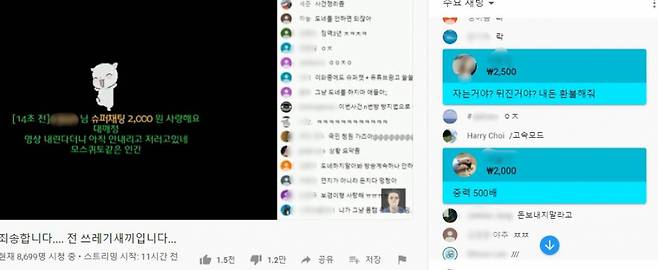 유튜버 정배우가 14일 늦은 밤부터 진행했던 실시간 스트리밍 서비스 화면. 우측 파란색 화면이 후원하는 모습이다./사진=정배우 유튜브