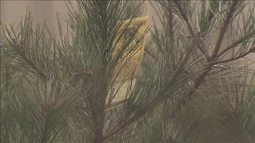 떨어진 5만원권 [연합뉴스TV 제공]사진은 기사 내용과 관련 없음.  재판매 및 DB 금지.