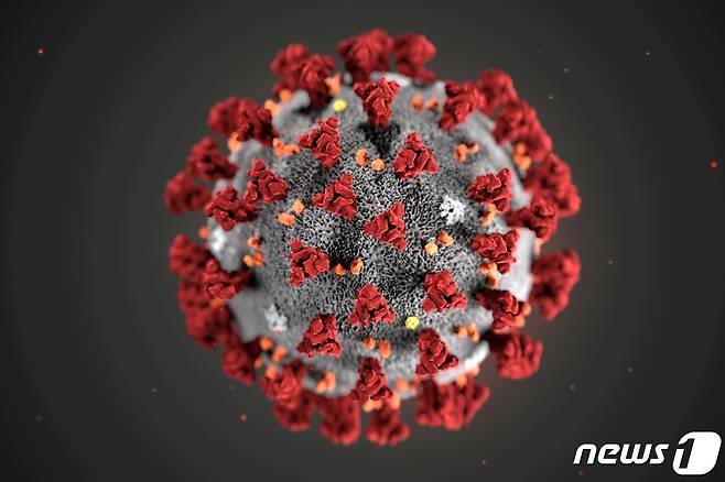 미국 CDC가 공개한 코로나19 모형도 © 로이터=뉴스1 © News1 이종덕 기자