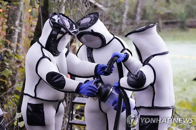 '중무장' [AP=연합뉴스] 24일 워싱턴주 블레인에서 농업 당국 관계자가 '아시아 거대 말벌'(Asian giant hornet) 퇴치 작업을 하고 있다.