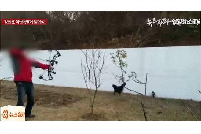 (사진=뉴스타파, 연합뉴스)