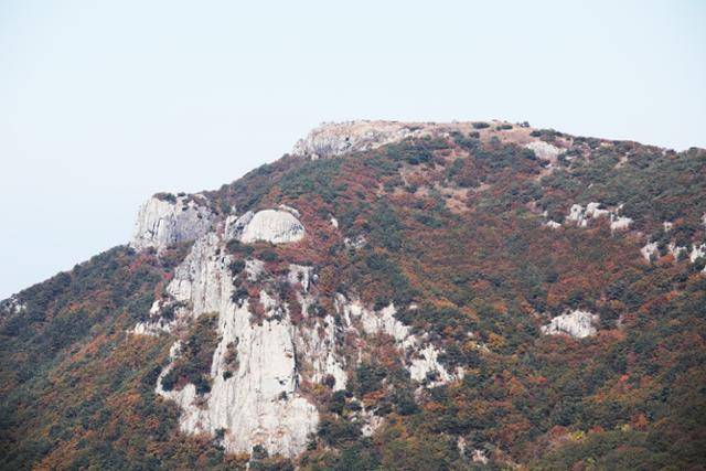 신선이 거문고를 타는 모습과 닮았다는 비슬산은 봄에는 참꽃, 가을엔 단풍으로 유명한 달성의 명산이다. ⓒ박준규