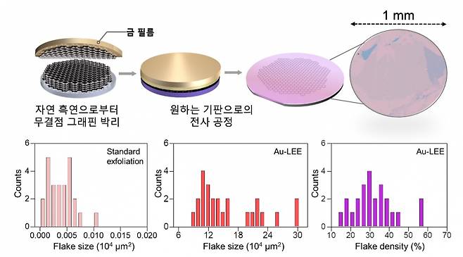 자연흑연에서 단일층의 그래핀을 박리하는 방법과 크기 및 밀도 결과.[아주대학교 제공]