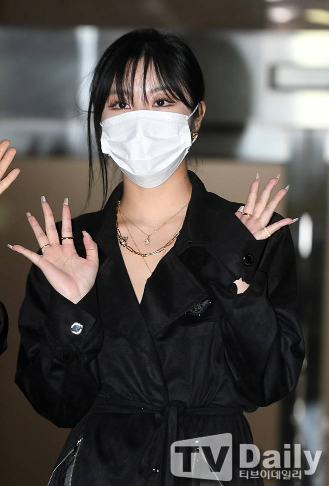 티브이데일리 포토