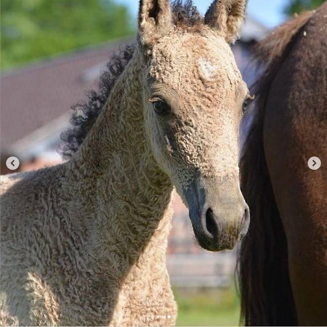 (사진=인스타그램)