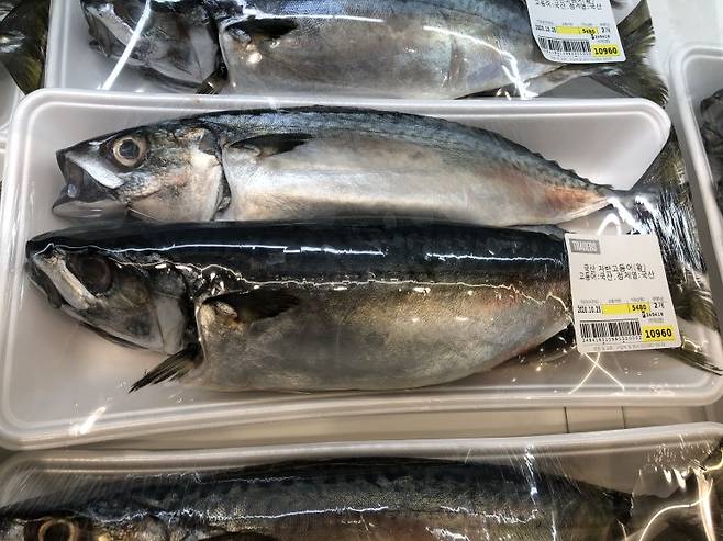 국산 자반 고등어/사진=머니투데이