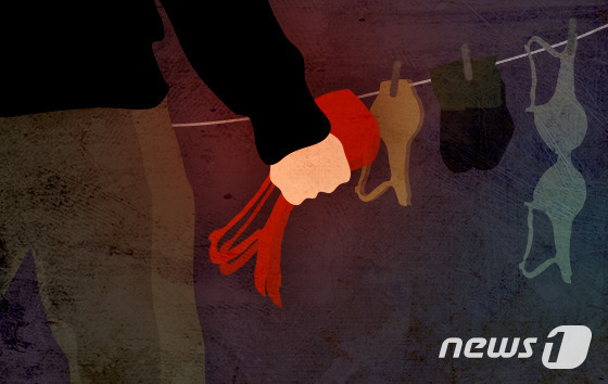 © News1 DB