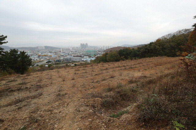 기사 내용과 관련없는 사진. /연합뉴스