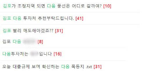 부동산 추가 규제를 앞두고 다음 유망지역에 대해 논의하는 인터넷 카페 글.



(사진=네이버 부동산 갈무리)