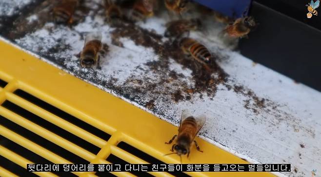 ▲ 프응TV 콘텐츠 갈무리.