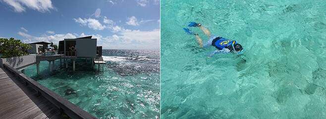 산호초 지대 해상에 지어진 워터 빌라(왼쪽). 오른쪽은 스노클링을 하는 모습이다. /사진=송경은 기자