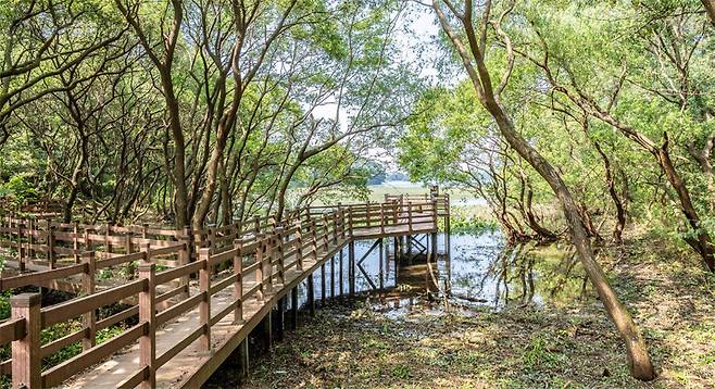 죽동마을 생태학습장의 끝은 다시 군산 호수와 만난다.