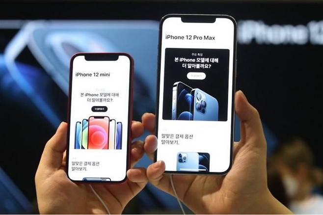 아이폰12 미니와 프로 맥스가 국내 정식 출시한 20일 오후 서울 중구 프리스비 명동점에서 고객들이 두 기기를 비교해보고 있다.(사진=연합뉴스)