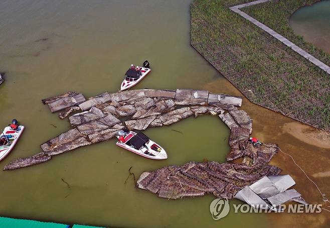 춘천 의암댐으로 떠내려간 인공 수초섬 이동 [연합뉴스 자료사진]