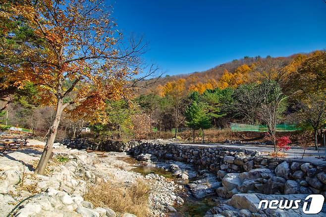 포천 백운계곡(경기관광공사 제공)/© 뉴스1