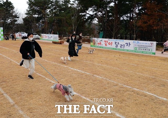 "내가 제일 빨라" 개와 함께 달리기 경기에 참여한 참가자들과 애견들이 힘껏 달리고 있다./포항=김달년기자