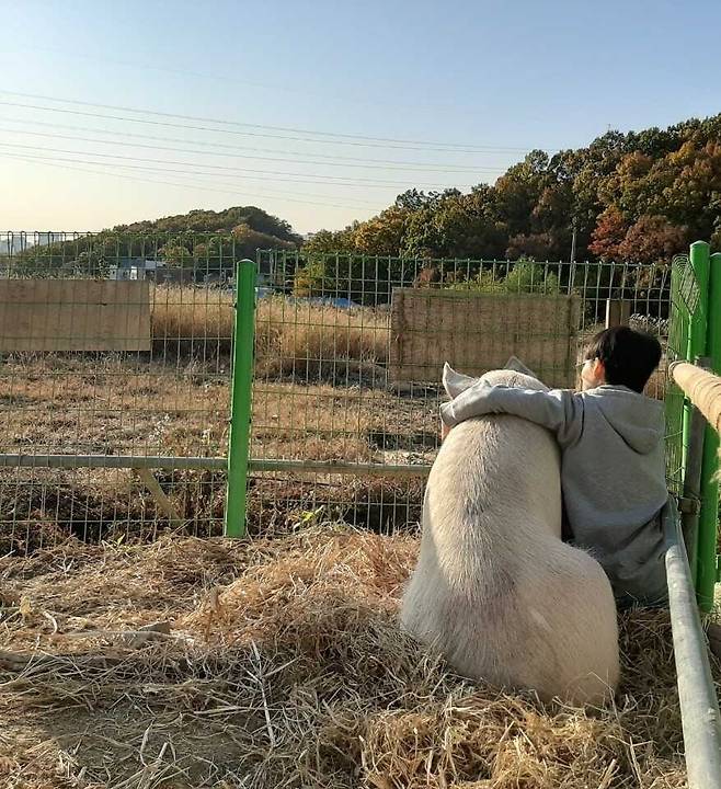 ‘새벽이’와 ‘사람’이 함께 앉아 어딘가를 바라보고 있다. 새벽이 생추어리 제공