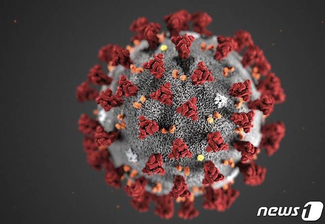 미국 질병통제예방센터(CDC)가 제작한 2019 신종 코로나바이러스 모형도. © 로이터=뉴스1
