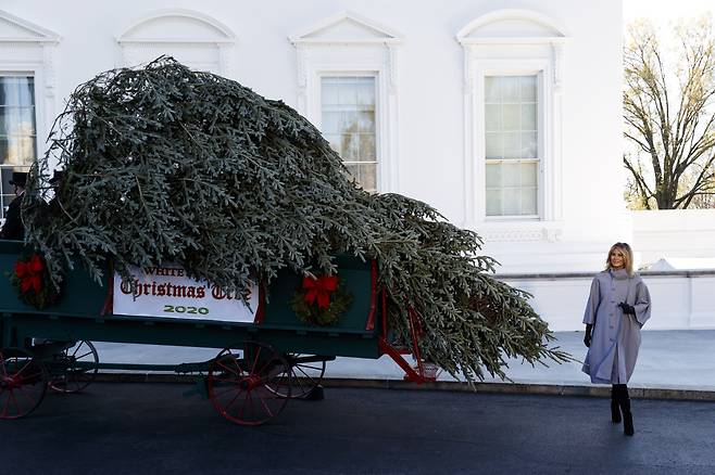 23일(현지 시각) 미 워싱턴DC 백악관에서 멜라니아 트럼프 여사가 올해 백악관 블루룸에 설치될 크리스마스 트리를 맞이하고 있다./신화 연합뉴스