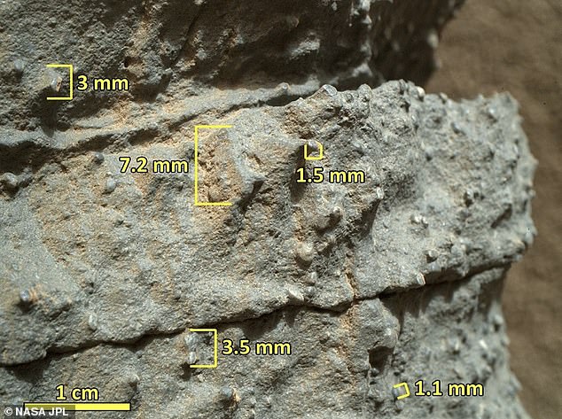 화성의 암석을 확대한 사진. 둥글고 거친 모래와 자갈 등은 층 간격을 보여준다. (사진=NASA/JPL)