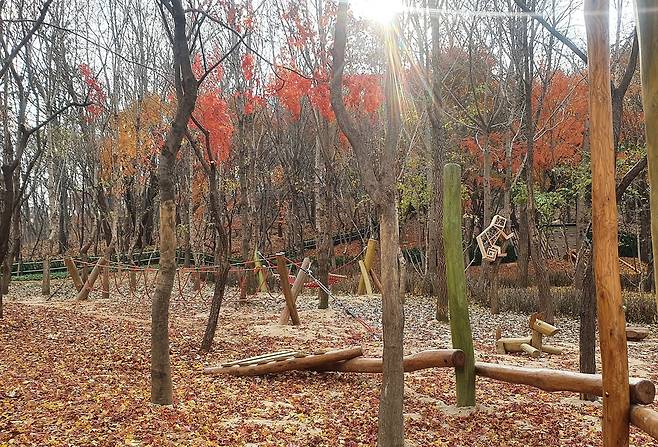 인헌동 유아 숲 체험원 [서울 관악구 제공. 재판매 및 DB 금지]