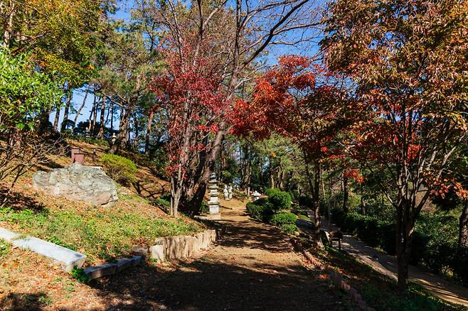 부산 서구의 대표적 휴식공간인 구덕문화공원. 부산 서구 제공