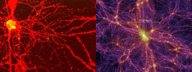 왼쪽은 마우스의 뇌 신경 네트워크, 오른쪽은 2005년 국제학술지 ‘네이처’에 발표된 가로·세로 20억광년 크기인 우주의 시뮬레이션 구조. 출처 http://www.visualcomplexity.com/vc/blog/?p=234