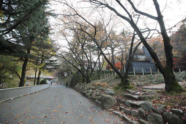 충혼탑에서 낙동강승전기념관으로 이어지는 앞산자락길. 지금은 다소 칙칙하지만 대구시에서 ‘내츄럴 대구(Natural Daegu) 프로젝트'로 밝고 화사하게 단장할 예정이라 한다. ⓒ박준규