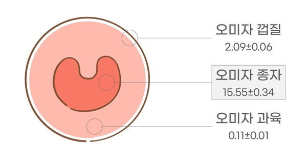 오미자의 부위별 유효성분 함량