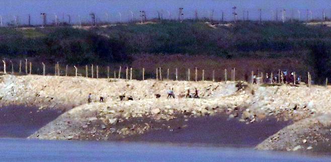 북한 황해북도 개풍군 해안 철책 인근에서 주민들이 작업을 하는 모습. /연합뉴스
