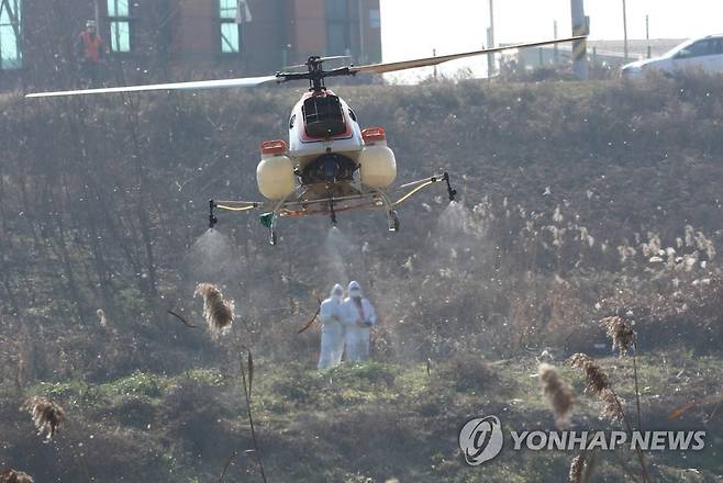 철새 도래지 미호천변 항공방제 (청주=연합뉴스) 천경환 기자 = 26일 오전 농림축산식품부가 철새 도래지인 청주시 흥덕구 미호천변에서 무인헬기를 동원해 조류인플루엔자(AI) 예방을 위한 방역작업을 하고 있다. 2020.11.26 kw@yna.co.kr