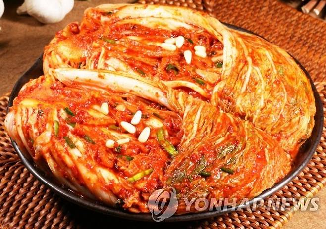 김치 [티몬 제공]