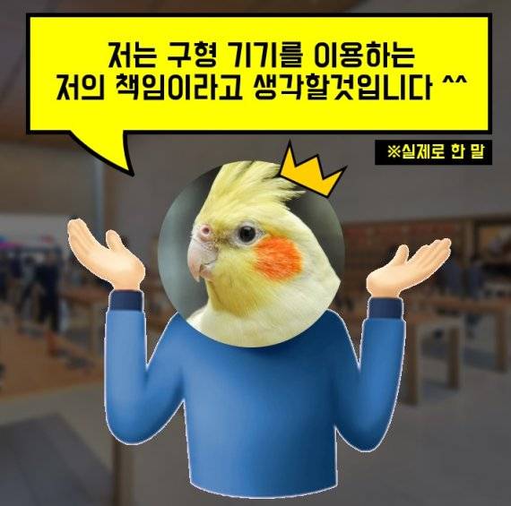 출처:클리앙 커뮤니티(id:인****)